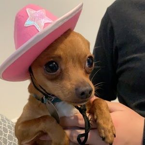 Meet your Posher, Olivia